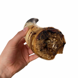 Cuerno de vaca macizo