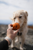 Non Stop Dog Wear - Juguete Dog Ball