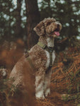 Arnés Green Forest - Wildtopdogs