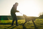 Non Stop Dog Wear - Dog ball on rope