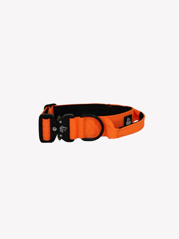 Collar Orange Flame 4cm - WILDTOPDOGS
