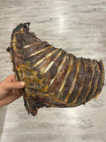 Costillar de ciervo XL