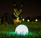 Chuck it! - Pelota luminiscente Max Glow