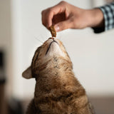 Rub - Barritas salmón finas