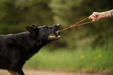 Non Stop Dog Wear - Dog ball on rope
