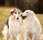 Non Stop Dog Wear - Dog ball on rope