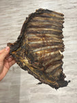 Costillar de ciervo XL
