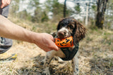 Non Stop Dog Wear - Dog throw toy