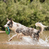 Chuckit - Zipflight Frisbee