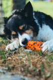 Non Stop Dog Wear - Dog throw toy