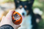 Non Stop Dog Wear - Dog throw toy