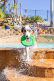 Chuckit - Zipflight Frisbee