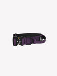 Collar Purple 4cm - WILDTOPDOGS