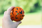 Non Stop Dog Wear - Juguete Dog Ball