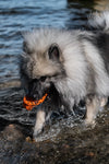 Non Stop Dog Wear - Dog throw toy