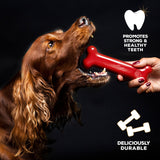 Mordedor Tasty bone ternera