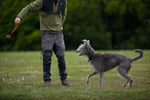 Non Stop Dog Wear - Dog ball on rope