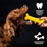 Mordedor Tasty bone pollo