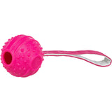 Trixie - Mordedor pelota con cuerda alta resistencia