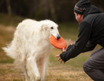 Non Stop Dog Wear - Dog Flying Disc