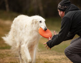 Non Stop Dog Wear - Dog Flying Disc