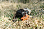 Non Stop Dog Wear - Dog throw toy