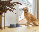 Dog Copenhague - Comedero / Bebedero Vega