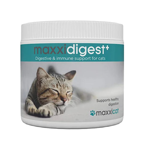 Maxxidigest Plus gatos - Suplemento digestivo