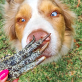 Patitas de cocodrilo