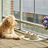 Dog Copenhague - Comedero / Bebedero Vega
