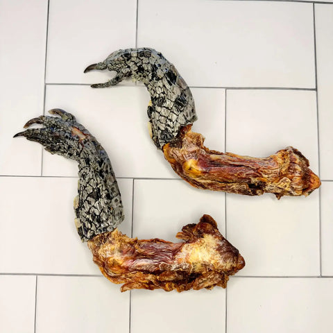 Pata de cocodrilo entera
