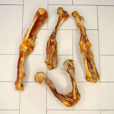 Hueso de pata de cocodrilo