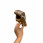 Tiburón gato entero XL
