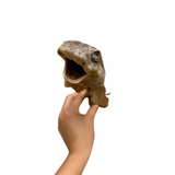 Tiburón gato entero XL