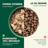 Wild Balance - Comida cocinada de salmón y ternera para gatos