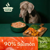 Wild Balance - Comida cocinada de salmón para perros