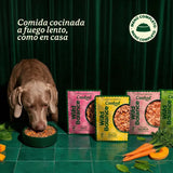 Wild Balance - Comida cocinada de ternera para perros