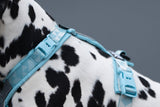 Non stop dogwear - Trekking line harness CLIP'N Ice blue