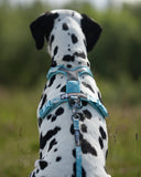 Non stop dogwear - Trekking line harness CLIP'N Ice blue