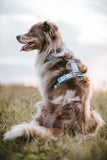 Non stop dogwear - Trekking line harness CLIP'N Ice blue