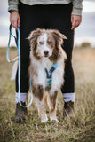 Non stop dogwear - Trekking line harness CLIP'N Ice blue