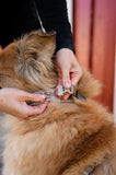 Non stop dogwear - Trekking line harness CLIP'N Sand