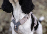 Non stop dogwear - Trekking line harness CLIP'N Sand
