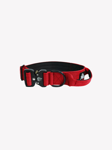 Collar Red Wine 4cm - WILDTOPDOGS