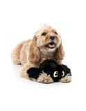 Fuzzyard - Peluche Tarantula Webastian Black