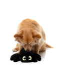 Fuzzyard - Peluche Tarantula Webastian Black