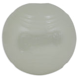 Chuck it! - Pelota luminiscente Max Glow