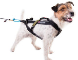 Non-stop Dogwear - Freemotion harness para tracción