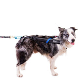 Non-stop Dogwear - Freemotion harness para tracción