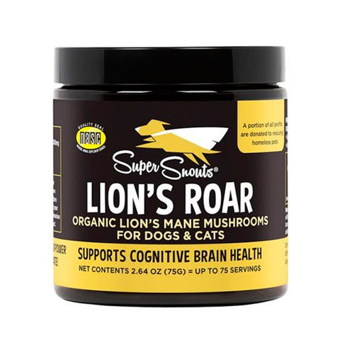 Lion's Roar hongo melena de león